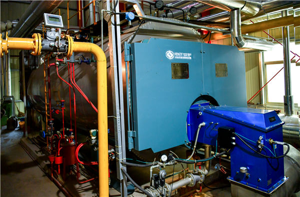 工業(yè)鍋爐證件