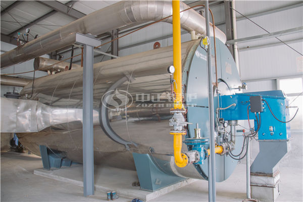 生物質(zhì)鍋爐 燃燒效率