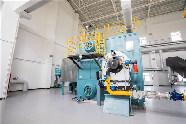 快裝式一體化鍋爐