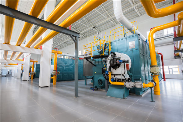 二十五噸蒸汽鍋爐多少錢