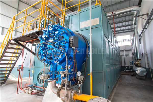 燃?xì)忮仩t 排名