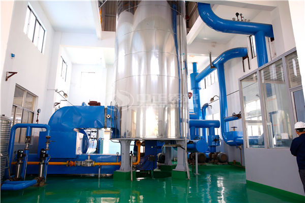 100噸燃?xì)忮仩t價格