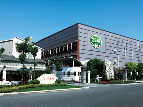 10噸、8噸 DZL 生物質(zhì)鍋爐