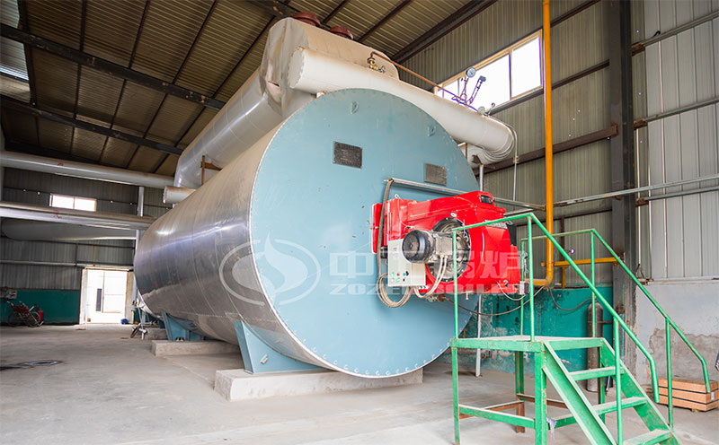 20t生物質(zhì)鍋爐客戶案例圖片