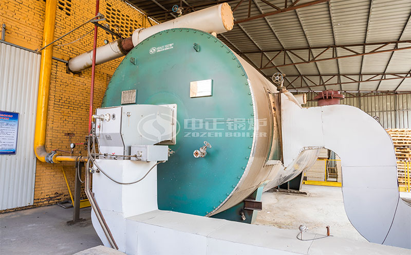 燃煤鏈條爐客戶案例圖片