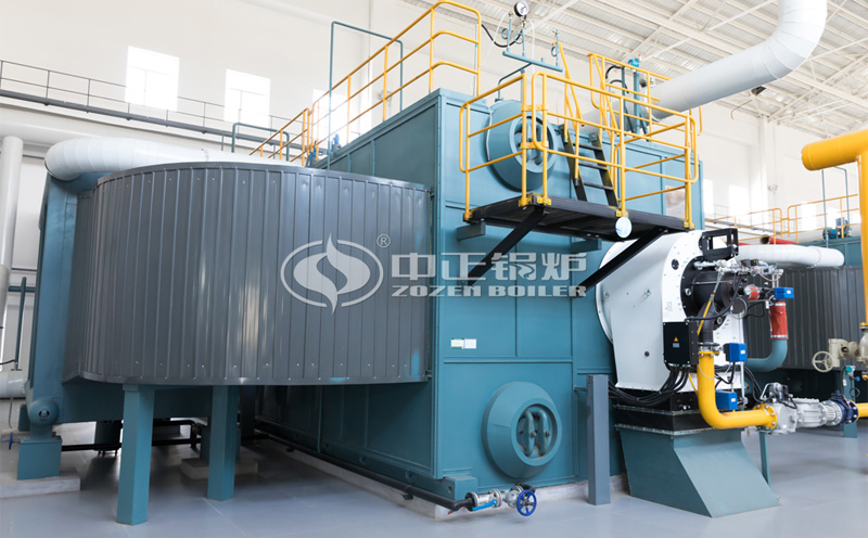 天津市29MW SZS燃?xì)鉄崴仩t項目