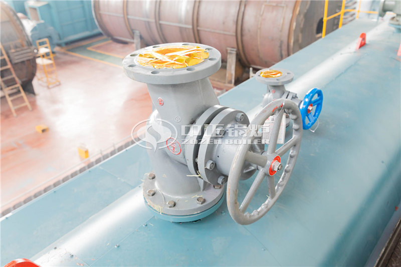 大型天然氣蒸汽爐多少錢能買到