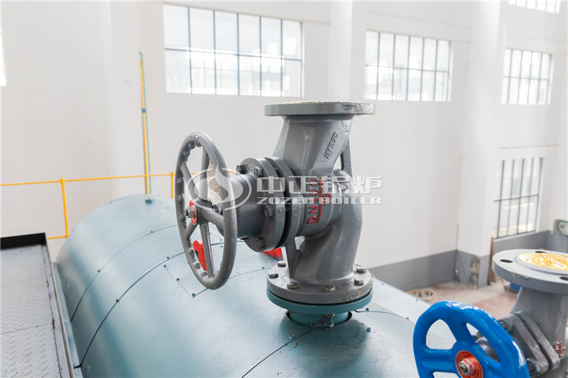 10噸燃?xì)庹羝仩t廠(chǎng)